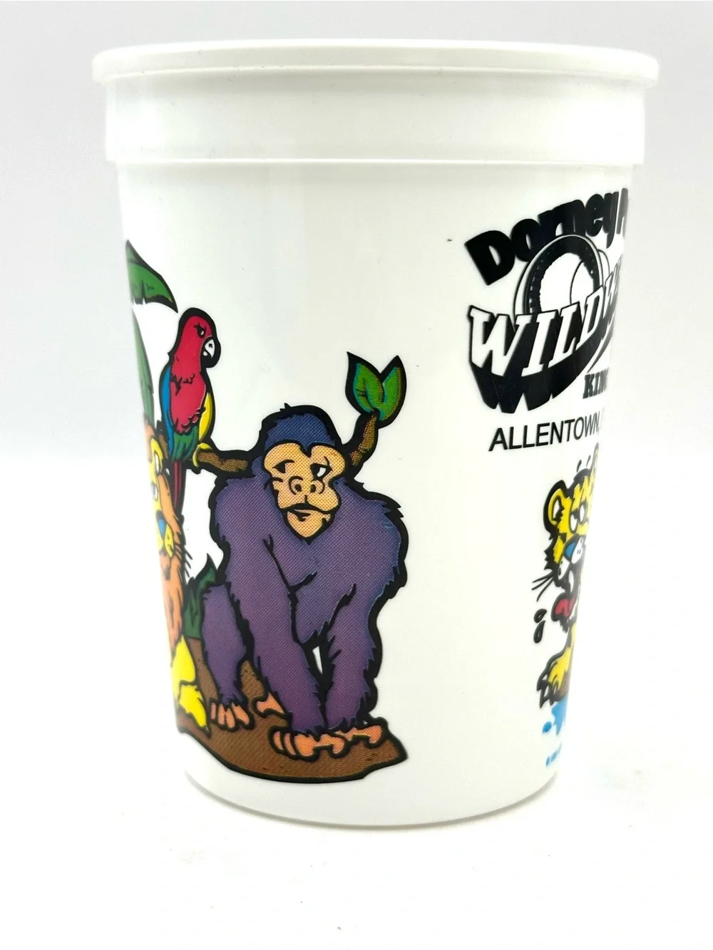 2 Vintage Dorney Park & Wildwater Kingdom Amusement Park  1991 Plastic  Cups